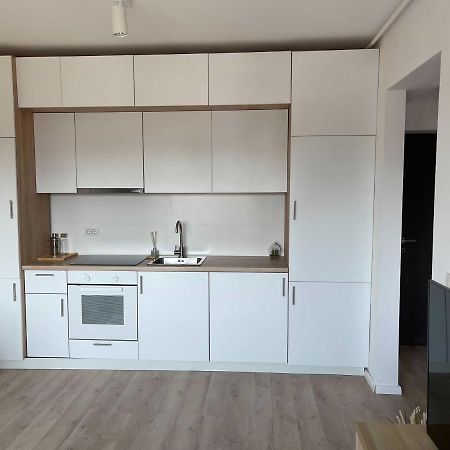 Platinum Luxury Apartment Near Presidential Palace 布加勒斯特 外观 照片