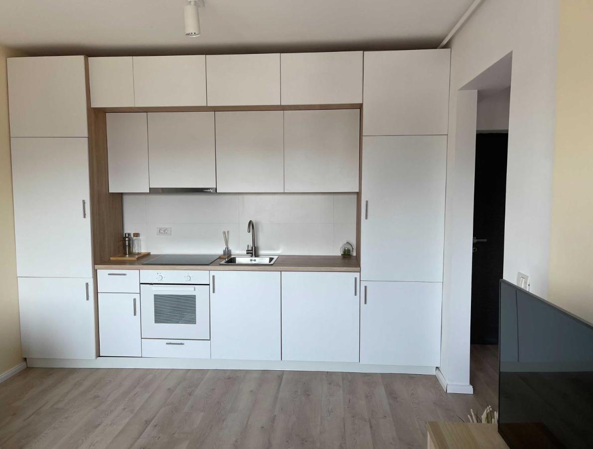 Platinum Luxury Apartment Near Presidential Palace 布加勒斯特 外观 照片