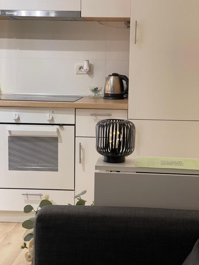 Platinum Luxury Apartment Near Presidential Palace 布加勒斯特 外观 照片